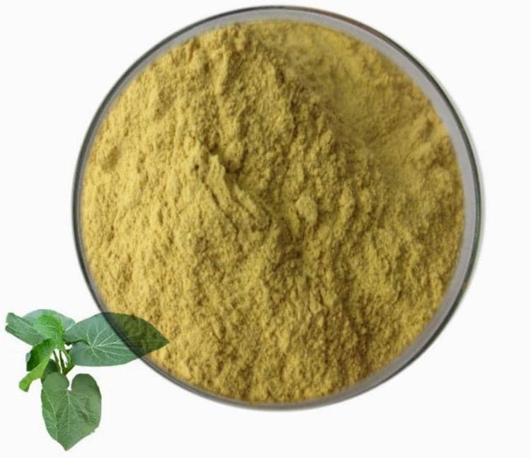 African Mango Seed Extract