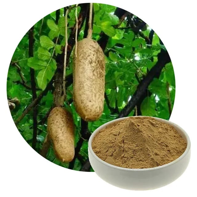 Kigelia Africana Extract (Sausage Tree Extract)