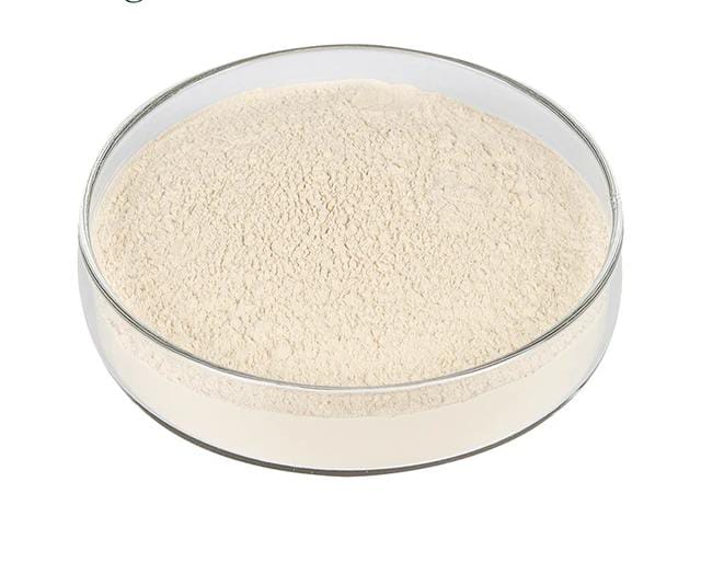 Kidney Bean Extract (Phaseolus vulgaris)