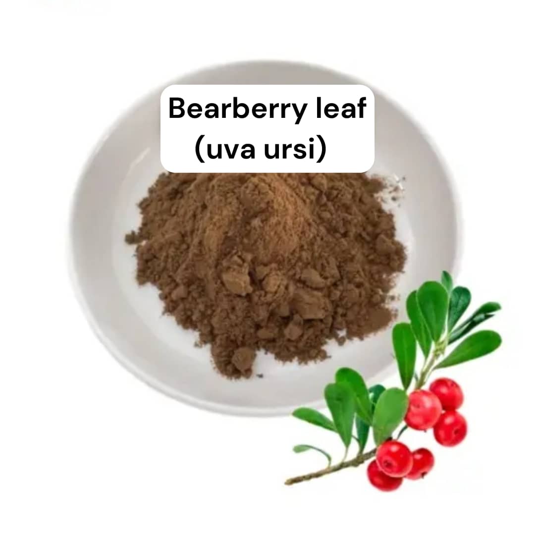 Bearberry Leaf Whole Powder