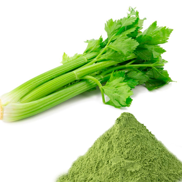 Celery Whole Powder