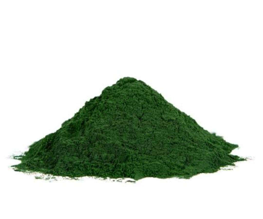 Chlorella Powder