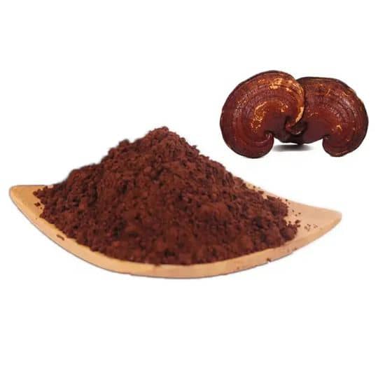 Ganoderma Powder (Reishi)