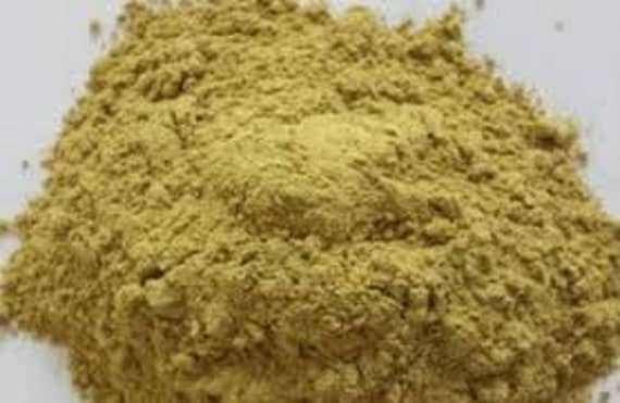 Gentiana Lutea Powder