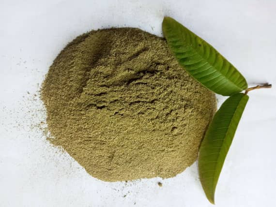 Guava Leaf Powder
