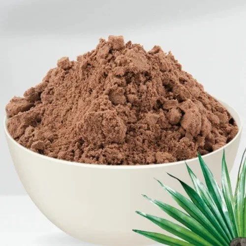 Saw Palmetto Powder 🌴