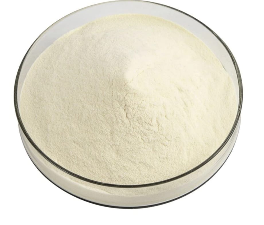 Bovine Collagen Powder (food grade) 🐄✨