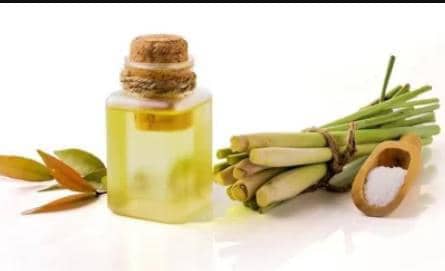 Citronella Essential Oil