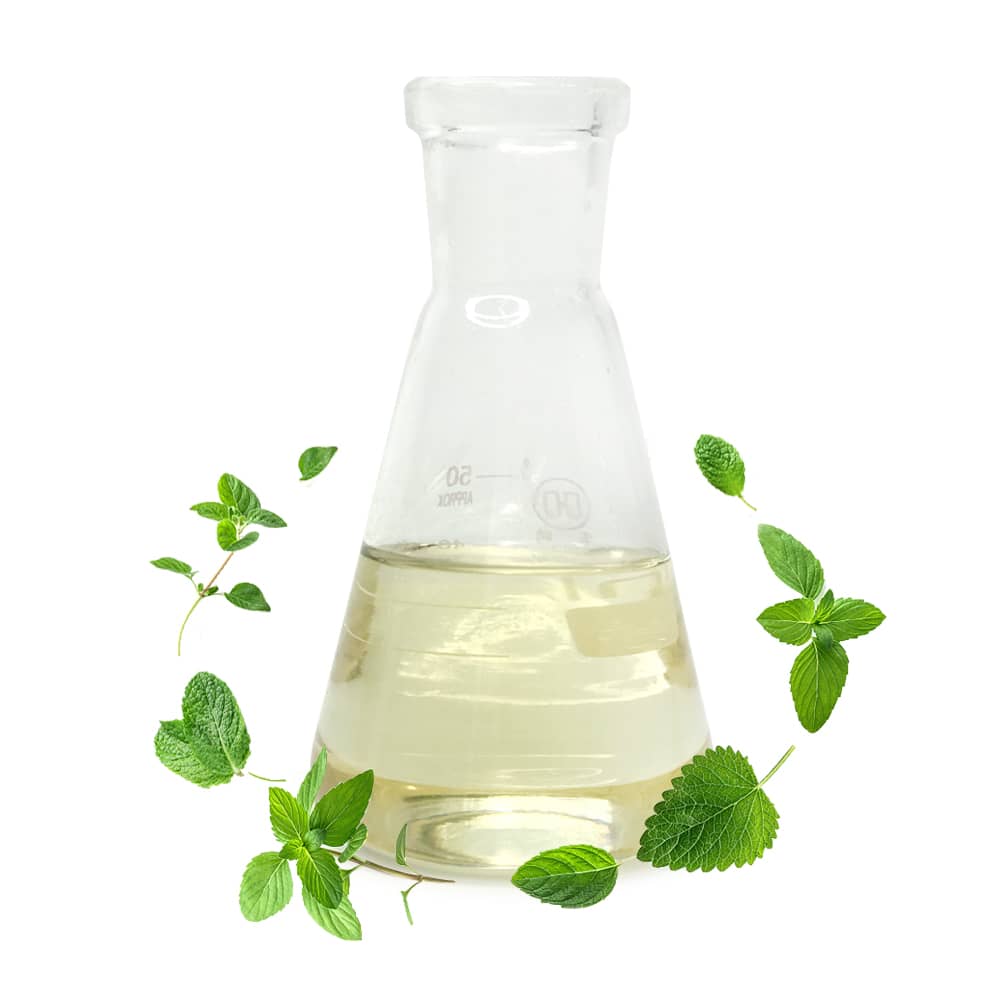 Peppermint Essential Oil