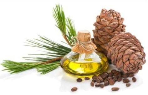 Pine Nut Oil