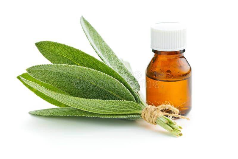 Salvia (Sage) Essential Oil