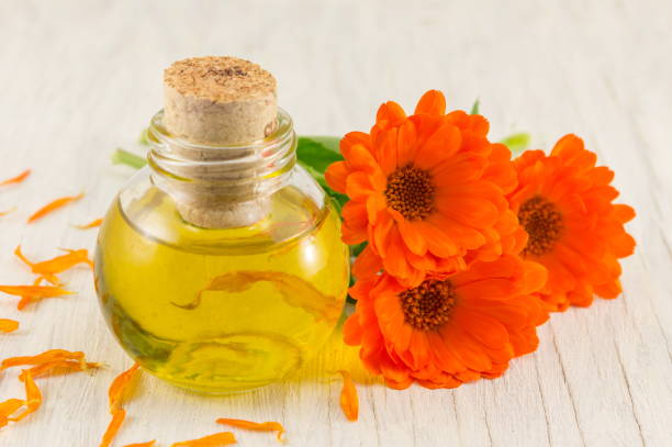 Calendula carrier Oil