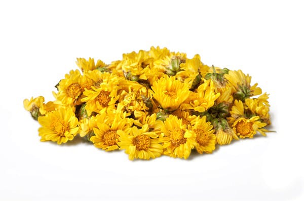 Chrysanthemums Flower