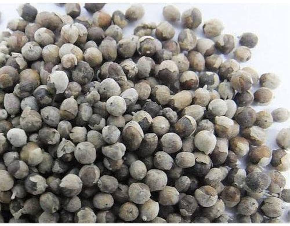 Vitex Seed Whole powder (Chasteberry)