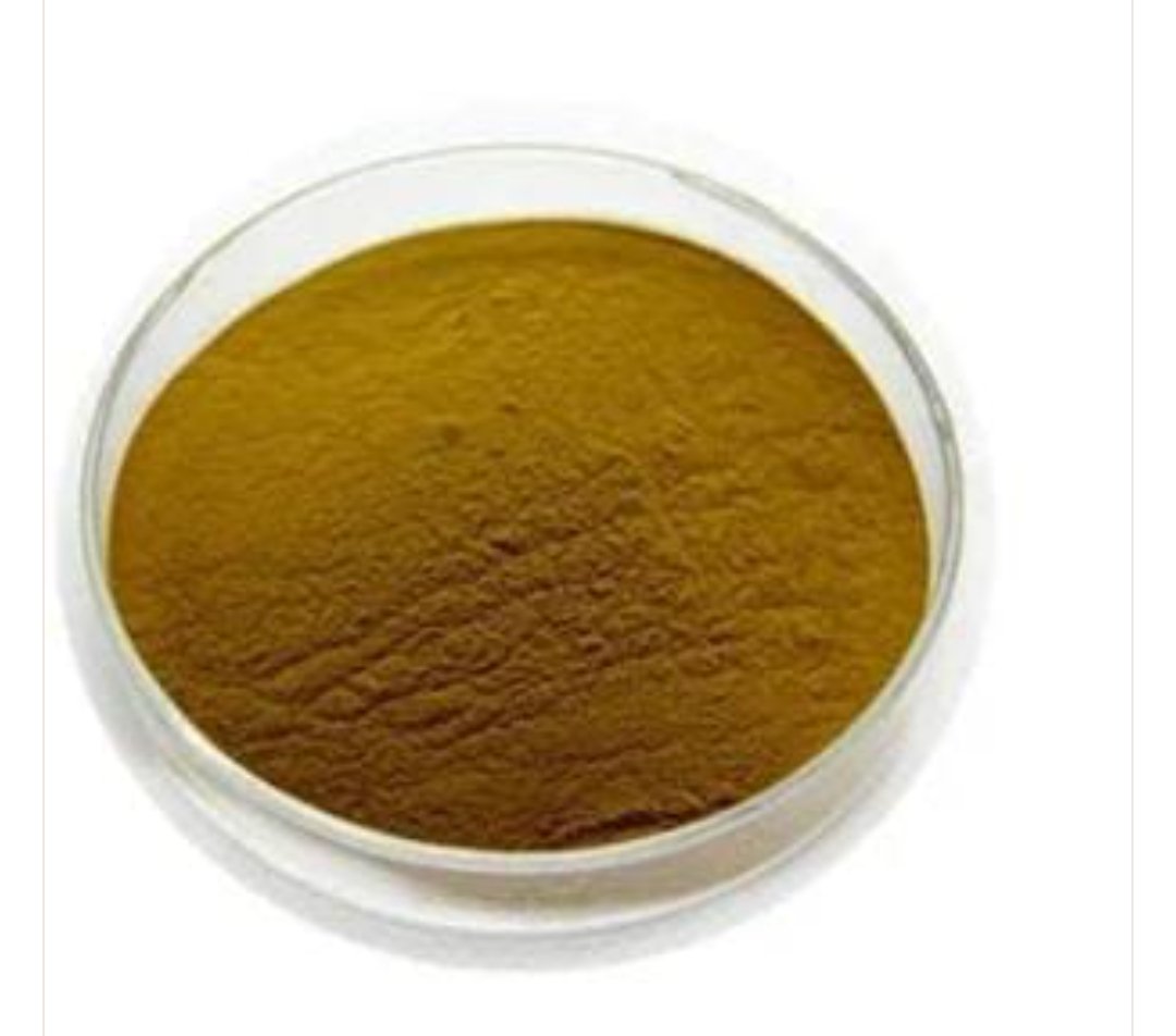 Sassafras Bark Extract Powder
