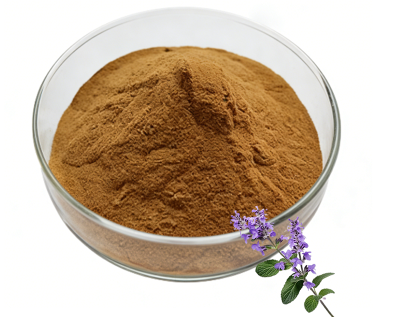 Sage Leaf Extract Powder